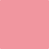 Benjamin Moore Color 1334 Pretty in Pink
