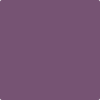 Benjamin Moore Color 1362 Ultra Violet
