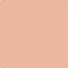 Benjamin Moore Color 2175-50 Peach Blossom