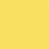 Benjamin Moore Color 341 Fiesta Yellow