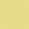 Benjamin Moore Color 369 Mulholland Yellow