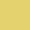Benjamin Moore Color 370 Yellow Tone