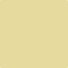 Benjamin Moore Color 375 Yellow Clover