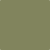 Benjamin Moore Color 483 Home on the Range