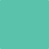 Benjamin Moore Color 614 St Patty's Day