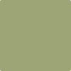 Benjamin Moore Colour CSP-840 Barefoot in the Grass