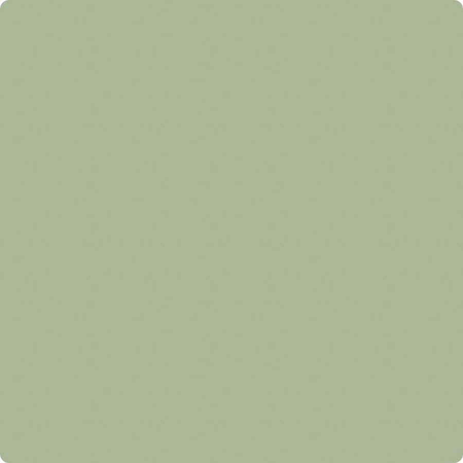 2047-10 Forest Green